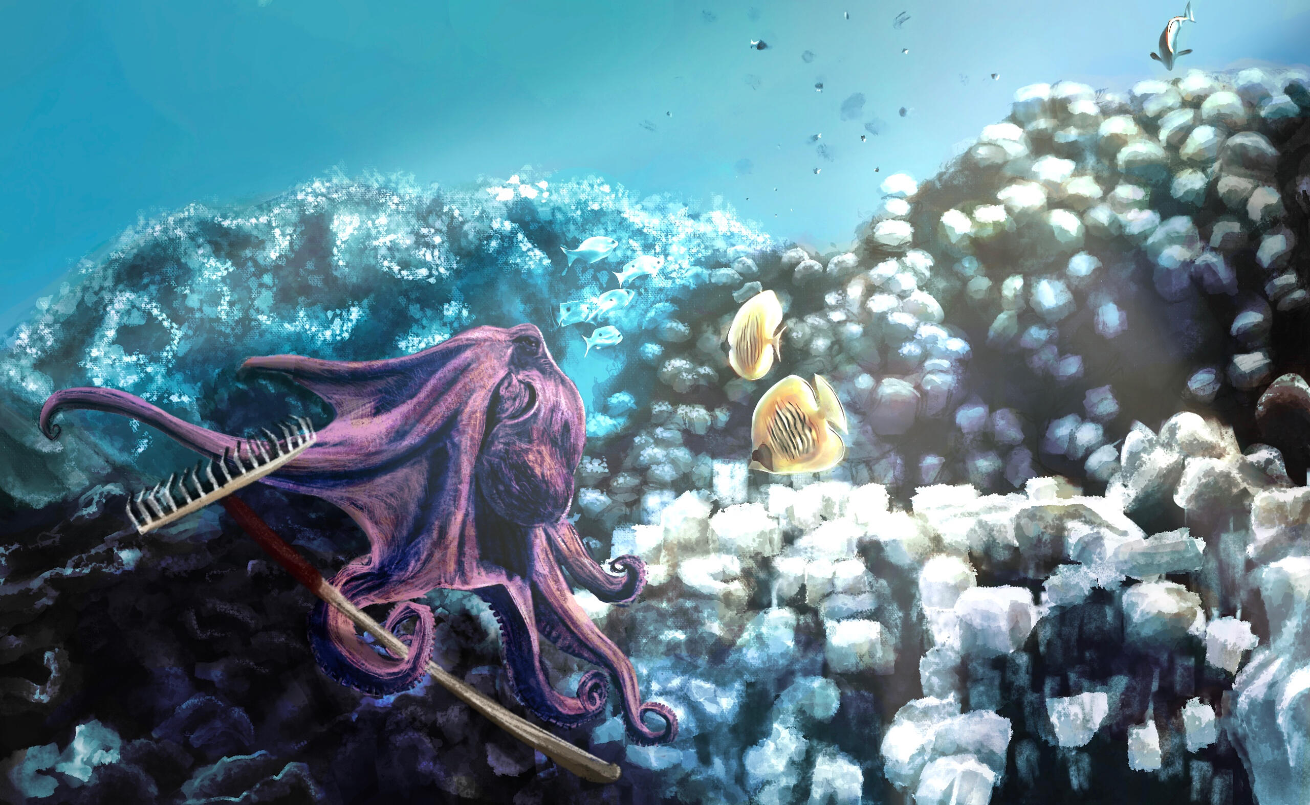 The Octopus’s Garden