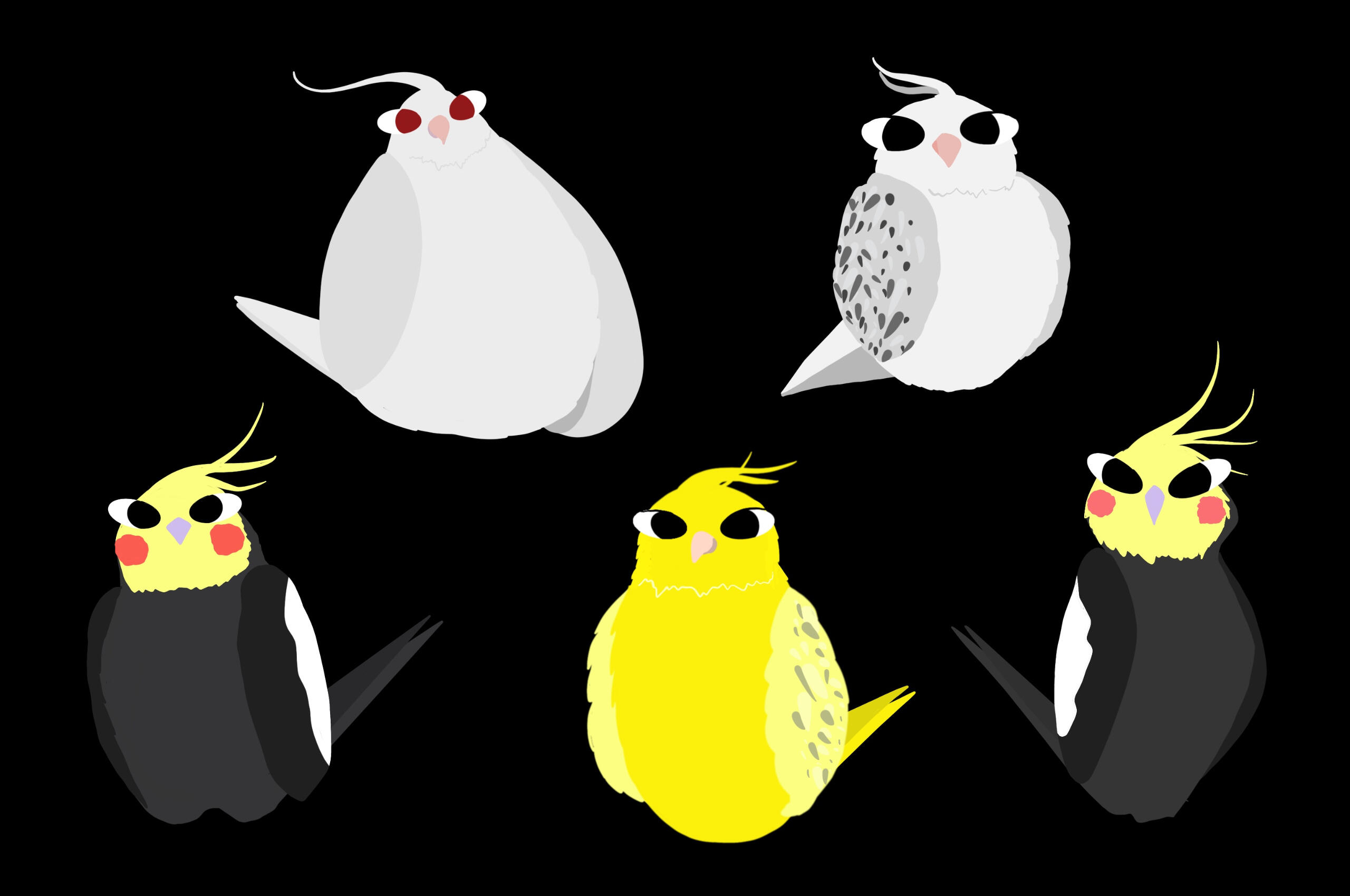 My Birds for their own comics