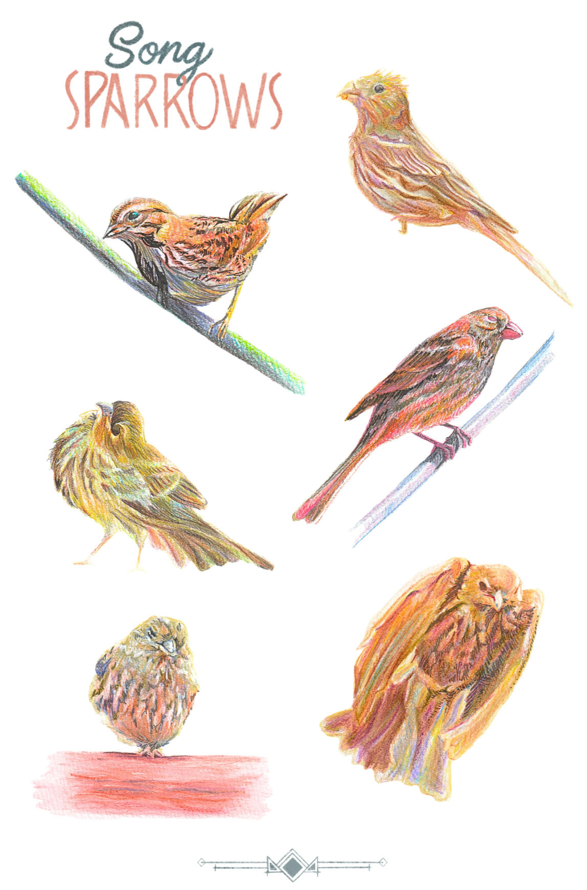 A recoup project to get back into coloring playfully like a child again. My daily admiration of the sparrows visiting my window feeder really started healing my job hunt burnout. I reflected them the same way they started bringing color back in my life
