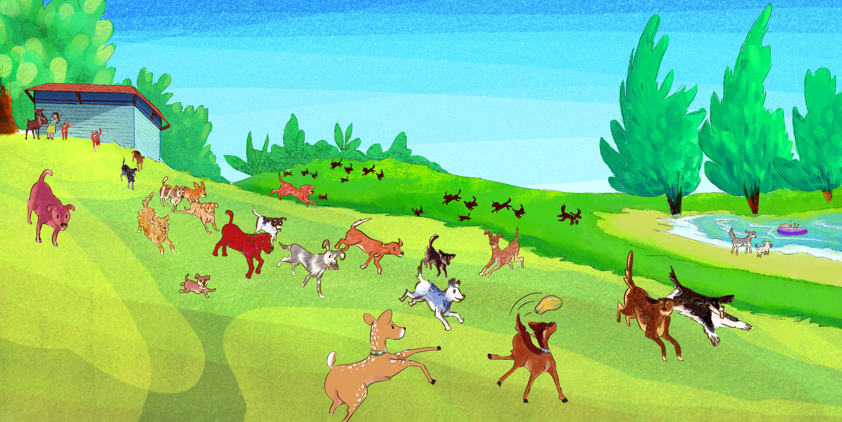 The author asked for the deers to be shown playing with a variety of dogs.
